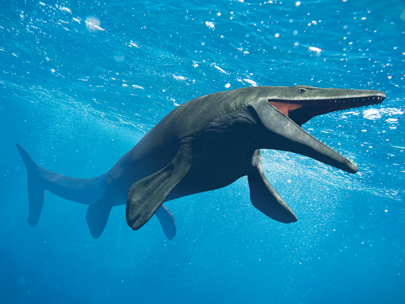 jabez-s-model-prayer-the-institute-for-creation-research